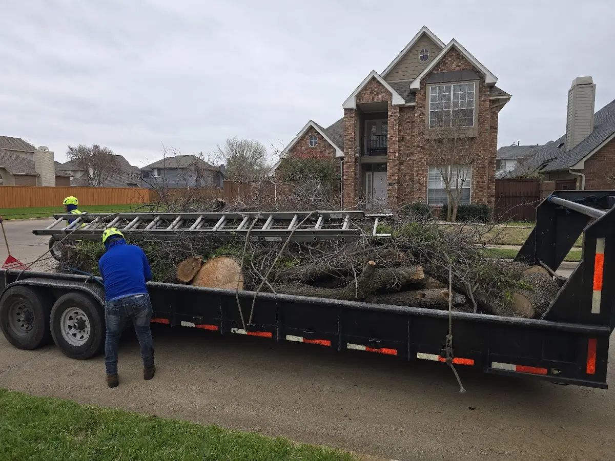 Expert Crown Reduction with proper safety equipment in Harmonsburg